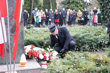 Poprzednie zdjęcie
