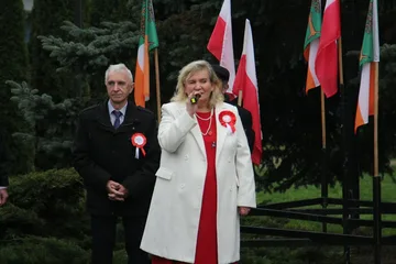 Poprzednie zdjęcie