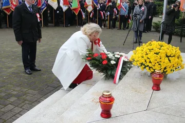 Następne zdjęcie