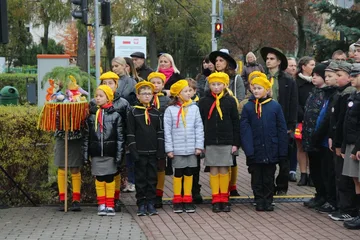 Następne zdjęcie