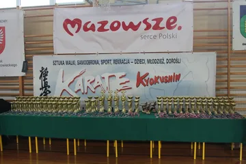 Następne zdjęcie