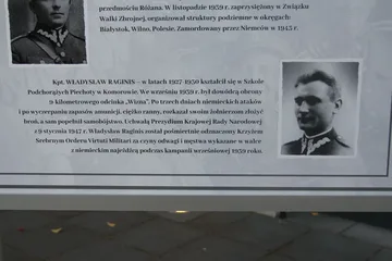Następne zdjęcie