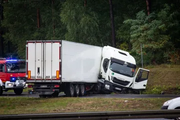Poprzednie zdjęcie