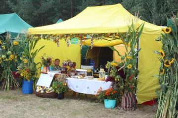 Następne zdjęcie