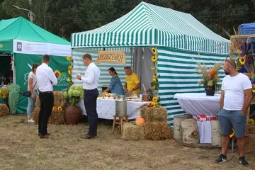 Poprzednie zdjęcie