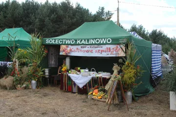 Następne zdjęcie