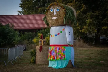 Poprzednie zdjęcie