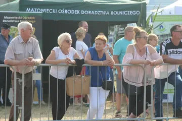 Poprzednie zdjęcie