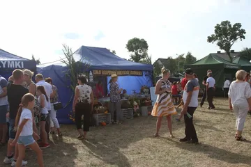Poprzednie zdjęcie