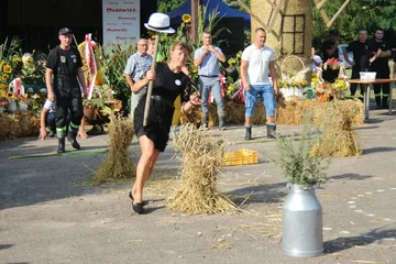 Poprzednie zdjęcie