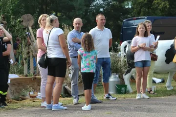 Poprzednie zdjęcie