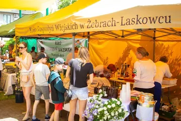 Następne zdjęcie