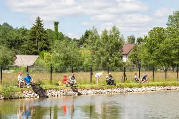 Poprzednie zdjęcie