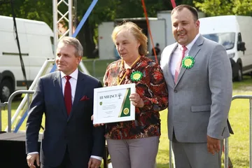 Poprzednie zdjęcie