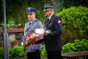 Poprzednie zdjęcie