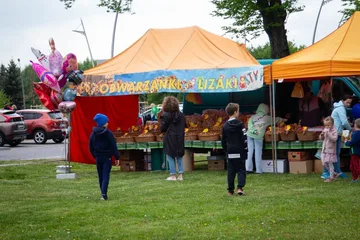 Poprzednie zdjęcie