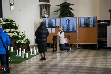 Następne zdjęcie