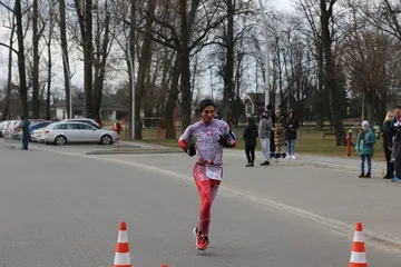 Poprzednie zdjęcie