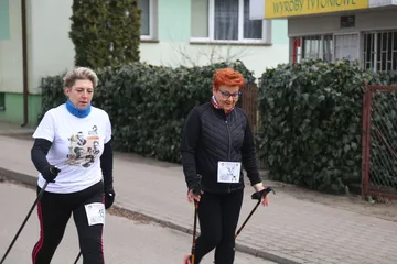 Poprzednie zdjęcie