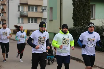 Poprzednie zdjęcie