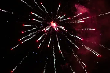 Następne zdjęcie