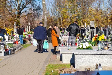 Następne zdjęcie