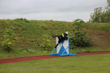 Poprzednie zdjęcie