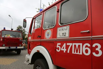 Następne zdjęcie