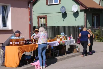 Poprzednie zdjęcie
