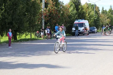Następne zdjęcie