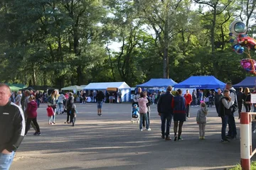 Następne zdjęcie