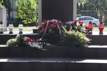 Poprzednie zdjęcie
