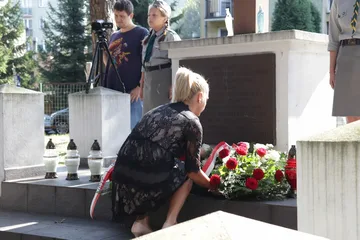 Następne zdjęcie