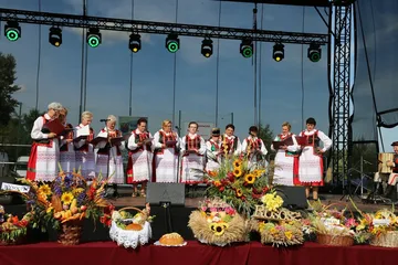 Następne zdjęcie