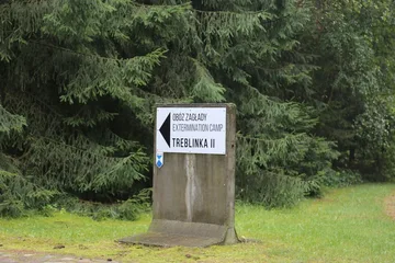 Następne zdjęcie