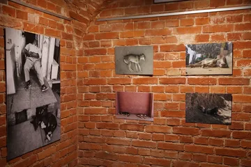 Wystawa prac Jarka Jarosza (zdjęcia) 