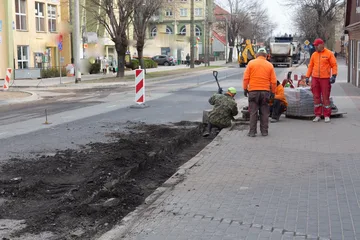 Poprzednie zdjęcie