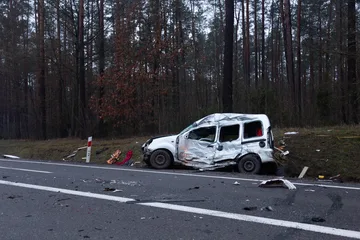 Poprzednie zdjęcie