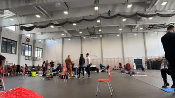 Poprzednie zdjęcie
