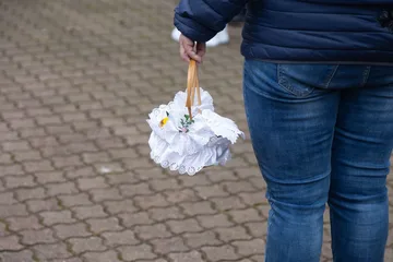 Następne zdjęcie