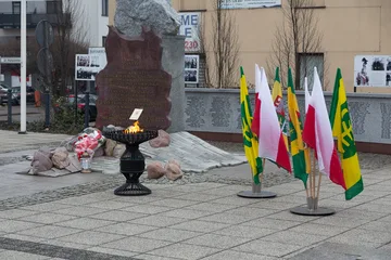 Następne zdjęcie
