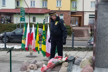 Następne zdjęcie
