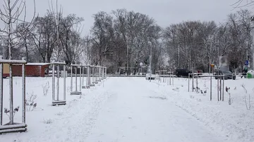 Poprzednie zdjęcie