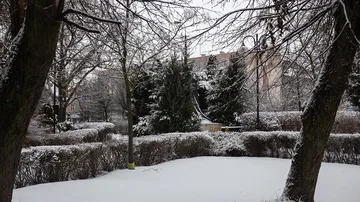 Następne zdjęcie