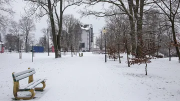 Poprzednie zdjęcie