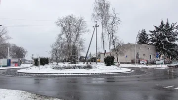 Następne zdjęcie