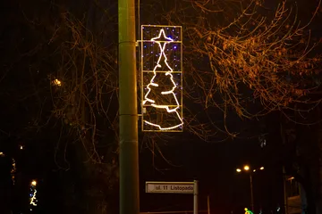 Następne zdjęcie