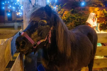 Bożonarodzeniowa szopka ozdobiła plac w Broku (zdjęcia)