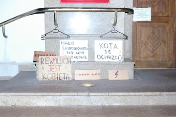 Poprzednie zdjęcie