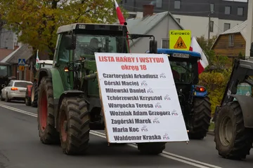 Następne zdjęcie